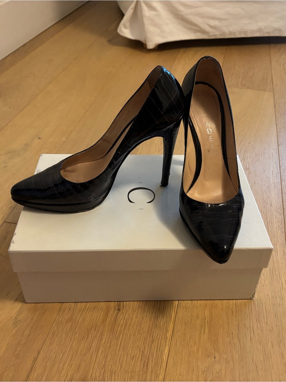 Casadei Black Croc-Embossed Pointed Stiletto Pumps